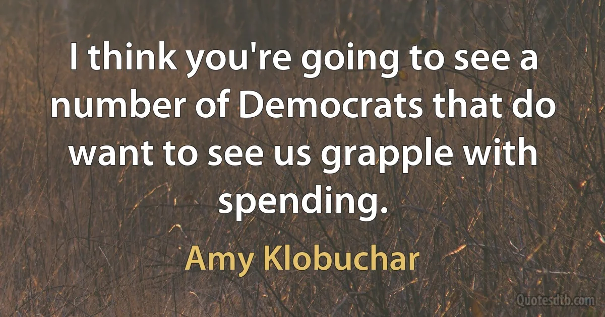 I think you're going to see a number of Democrats that do want to see us grapple with spending. (Amy Klobuchar)