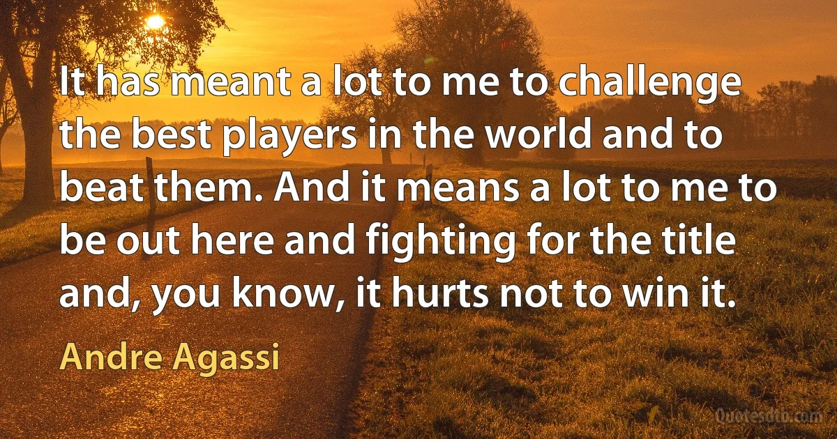 It has meant a lot to me to challenge the best players in the world and to beat them. And it means a lot to me to be out here and fighting for the title and, you know, it hurts not to win it. (Andre Agassi)