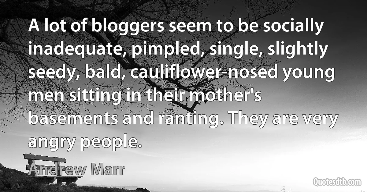 A lot of bloggers seem to be socially inadequate, pimpled, single, slightly seedy, bald, cauliflower-nosed young men sitting in their mother's basements and ranting. They are very angry people. (Andrew Marr)