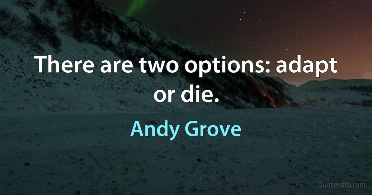 There are two options: adapt or die. (Andy Grove)