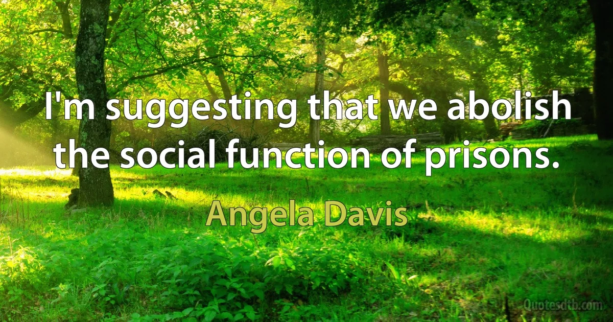 I'm suggesting that we abolish the social function of prisons. (Angela Davis)