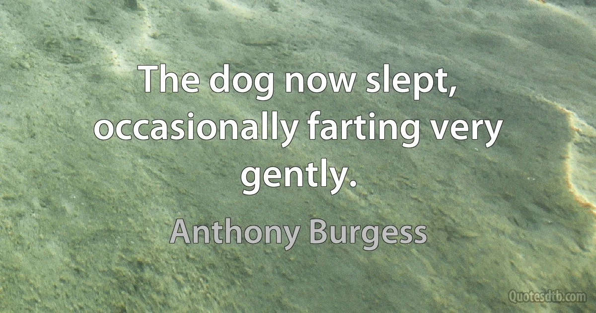 The dog now slept, occasionally farting very gently. (Anthony Burgess)