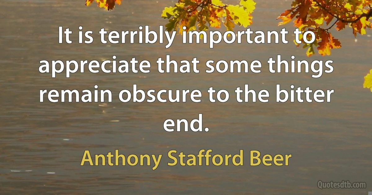 It is terribly important to appreciate that some things remain obscure to the bitter end. (Anthony Stafford Beer)