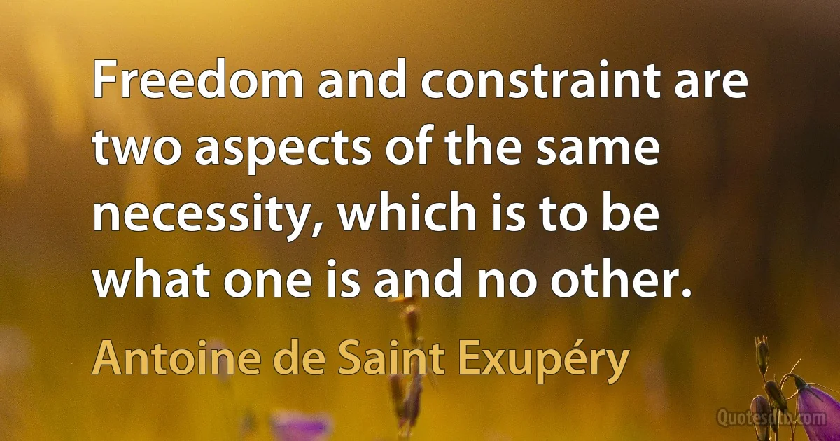 Freedom and constraint are two aspects of the same necessity, which is to be what one is and no other. (Antoine de Saint Exupéry)