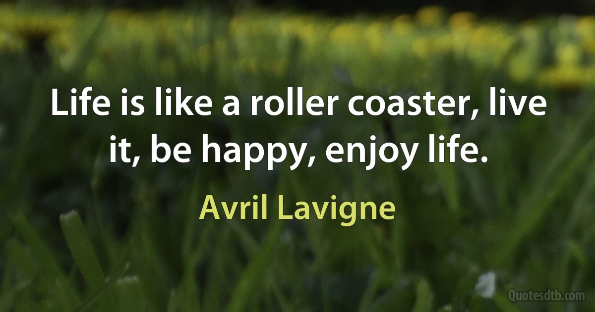 Life is like a roller coaster, live it, be happy, enjoy life. (Avril Lavigne)