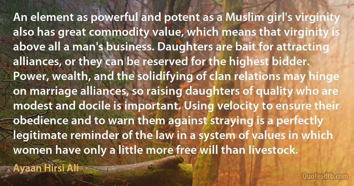 An element as powerful and potent as a Muslim girl's virginity also has great commodity value, which means that virginity is above all a man's business. Daughters are bait for attracting alliances, or they can be reserved for the highest bidder. Power, wealth, and the solidifying of clan relations may hinge on marriage alliances, so raising daughters of quality who are modest and docile is important. Using velocity to ensure their obedience and to warn them against straying is a perfectly legitimate reminder of the law in a system of values in which women have only a little more free will than livestock. (Ayaan Hirsi Ali)