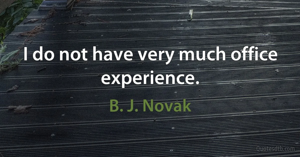 I do not have very much office experience. (B. J. Novak)