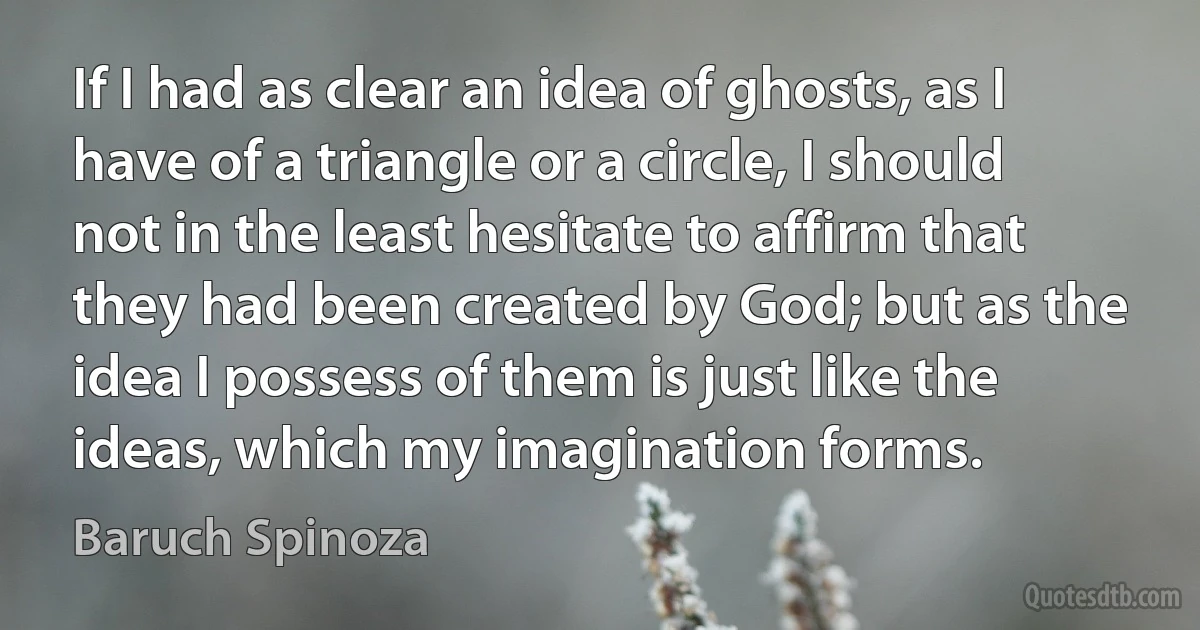 If I had as clear an idea of ghosts, as I have of a triangle or a circle, I should not in the least hesitate to affirm that they had been created by God; but as the idea I possess of them is just like the ideas, which my imagination forms. (Baruch Spinoza)