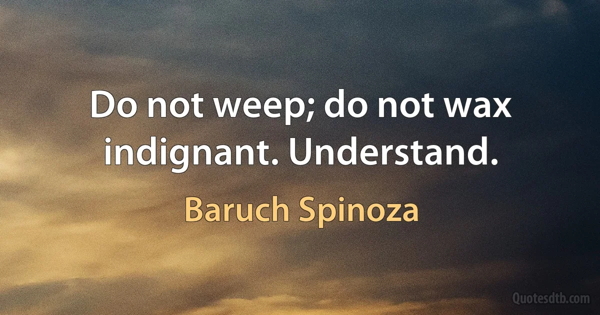 Do not weep; do not wax indignant. Understand. (Baruch Spinoza)