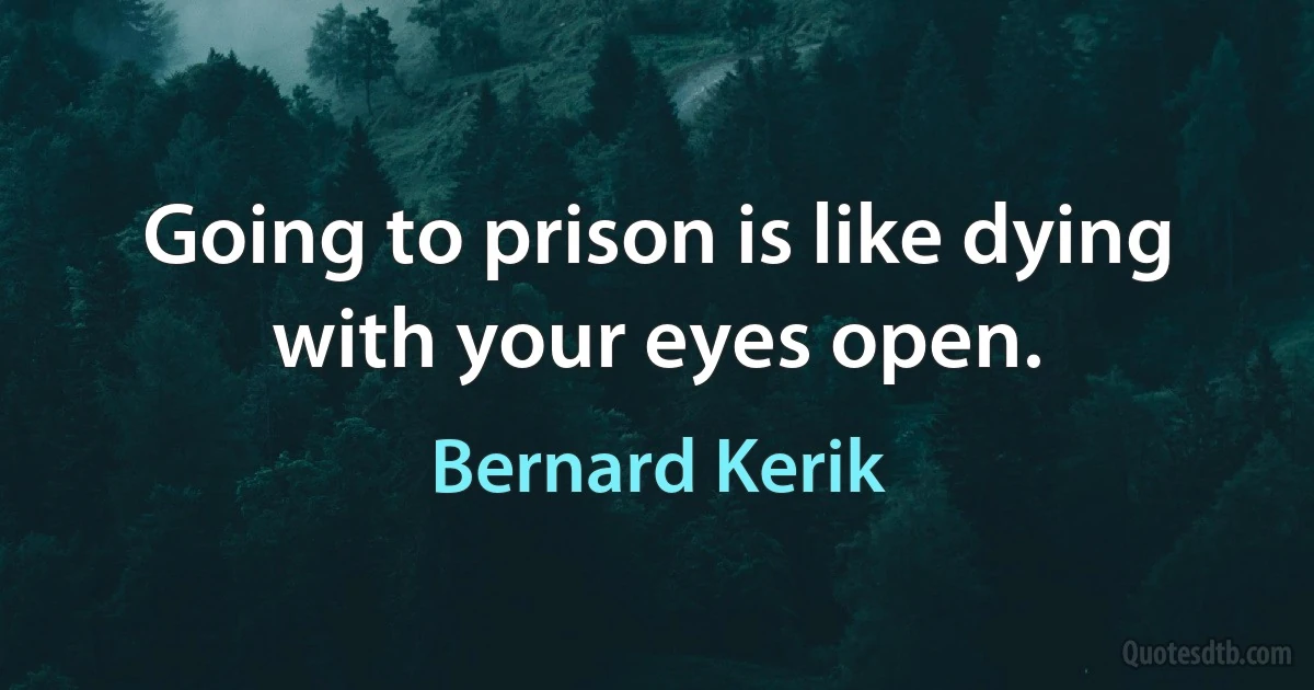 Going to prison is like dying with your eyes open. (Bernard Kerik)