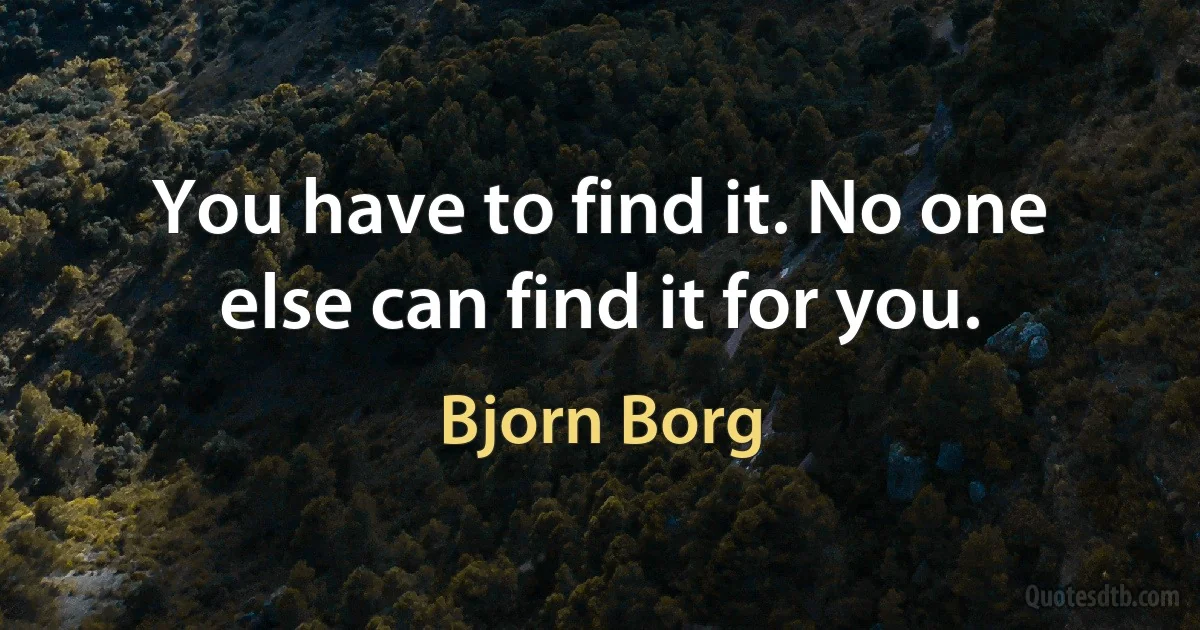 You have to find it. No one else can find it for you. (Bjorn Borg)