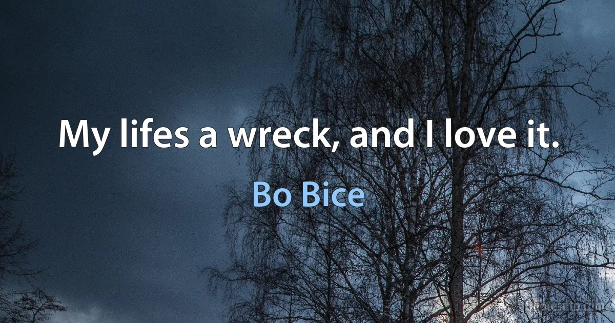 My lifes a wreck, and I love it. (Bo Bice)