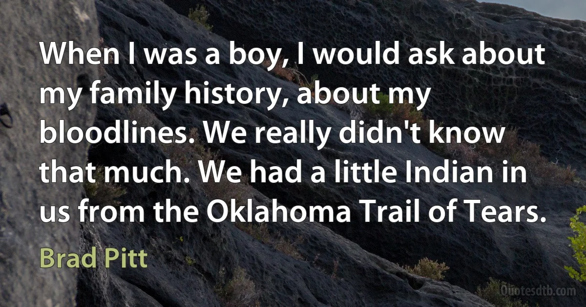 When I was a boy, I would ask about my family history, about my bloodlines. We really didn't know that much. We had a little Indian in us from the Oklahoma Trail of Tears. (Brad Pitt)