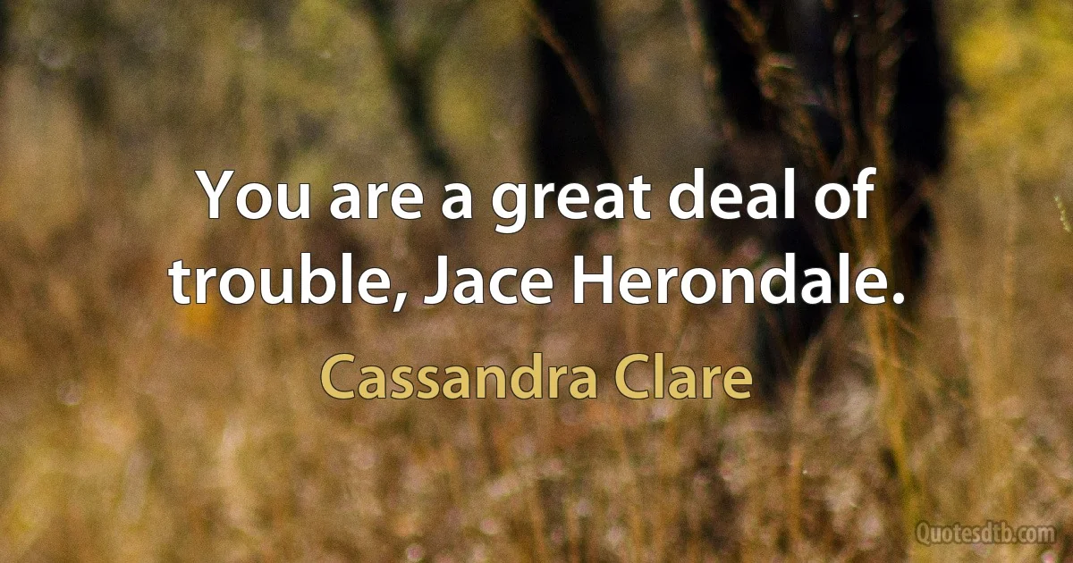 You are a great deal of trouble, Jace Herondale. (Cassandra Clare)