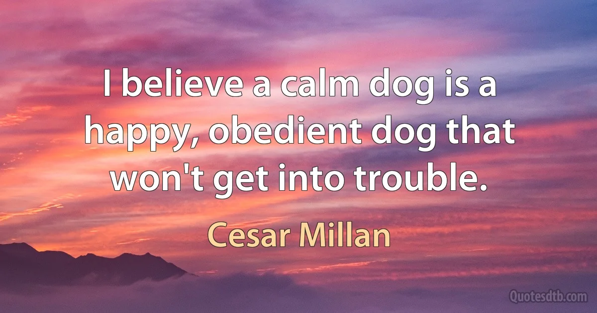 I believe a calm dog is a happy, obedient dog that won't get into trouble. (Cesar Millan)