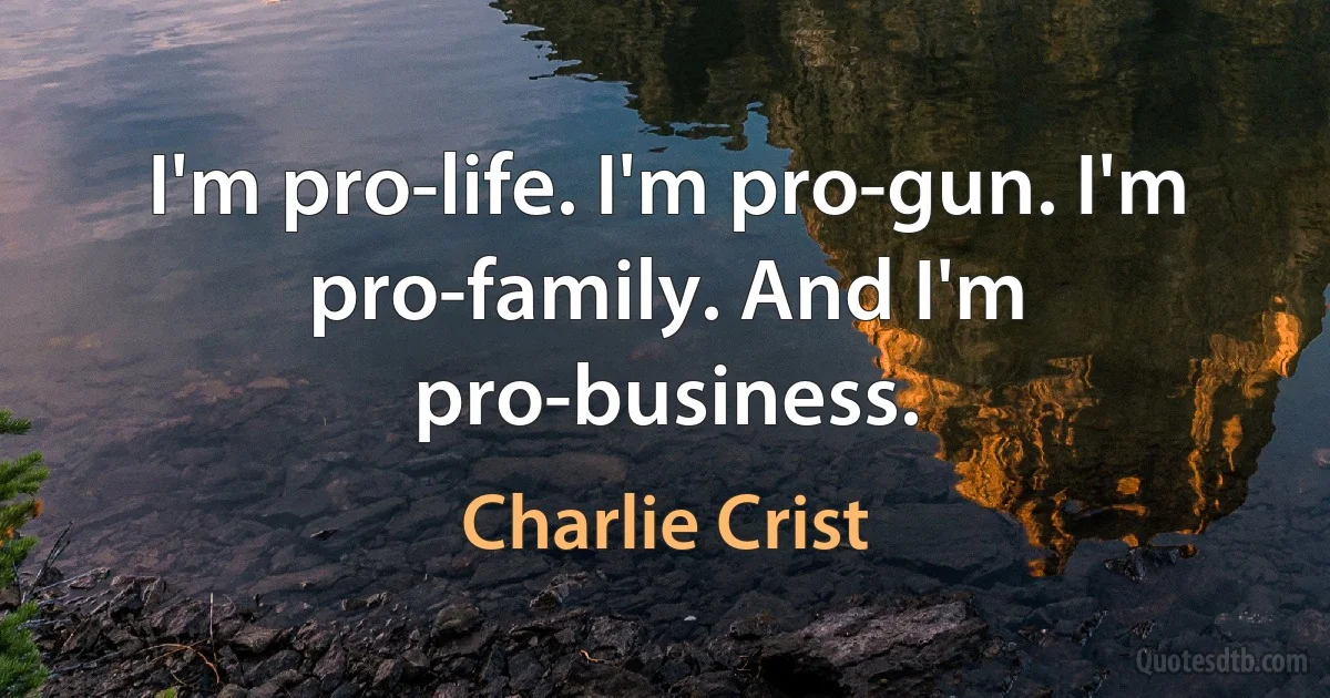 I'm pro-life. I'm pro-gun. I'm pro-family. And I'm pro-business. (Charlie Crist)