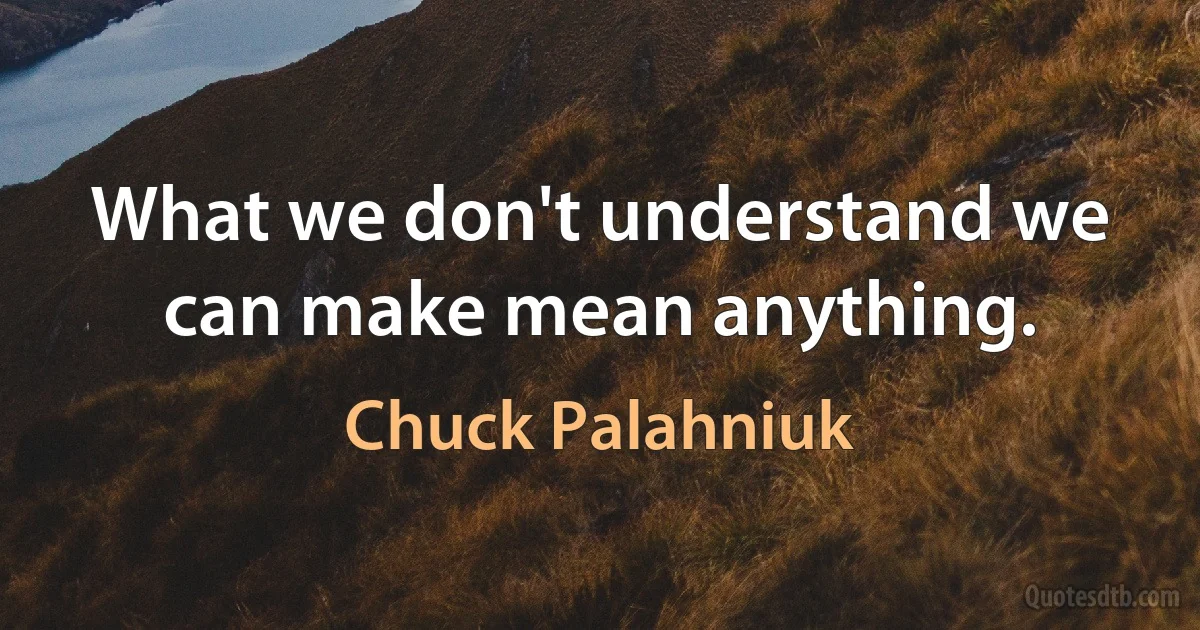 What we don't understand we can make mean anything. (Chuck Palahniuk)