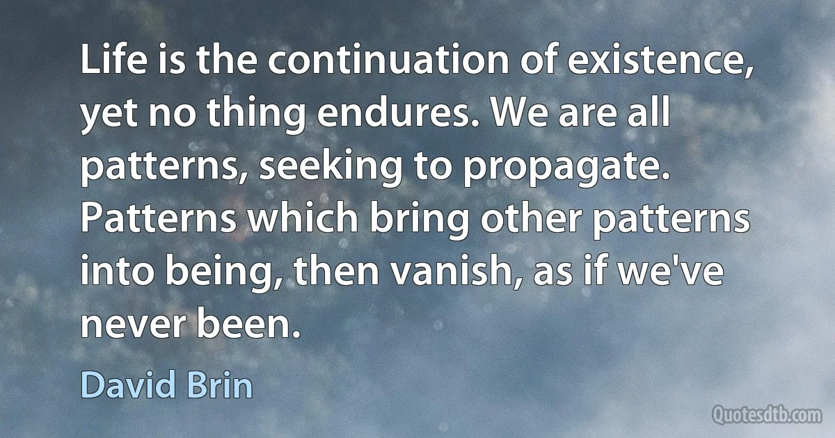 Life is the continuation of existence, yet no thing endures. We are all patterns, seeking to propagate. Patterns which bring other patterns into being, then vanish, as if we've never been. (David Brin)