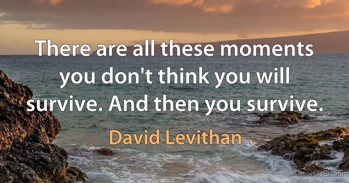 There are all these moments you don't think you will survive. And then you survive. (David Levithan)