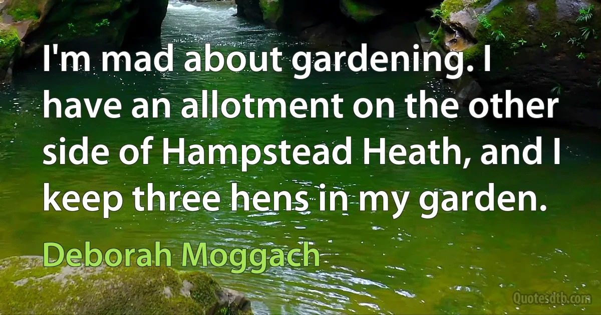 I'm mad about gardening. I have an allotment on the other side of Hampstead Heath, and I keep three hens in my garden. (Deborah Moggach)