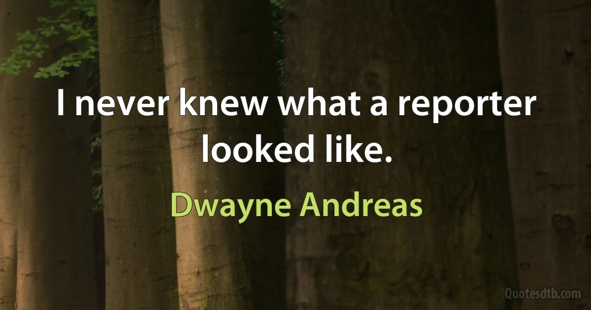 I never knew what a reporter looked like. (Dwayne Andreas)