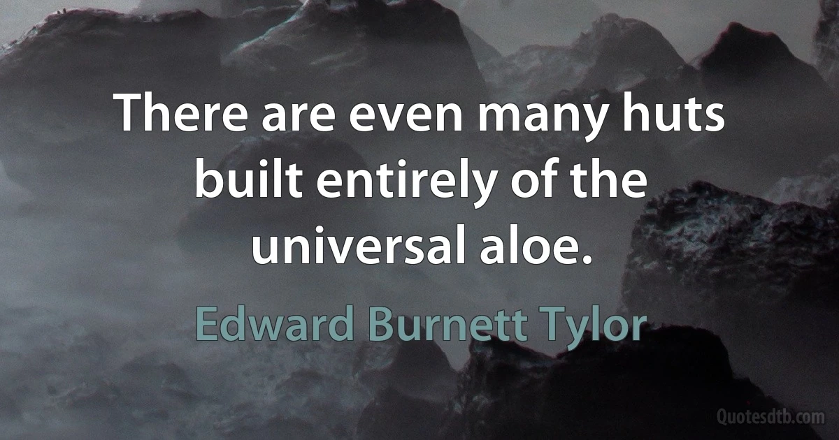 There are even many huts built entirely of the universal aloe. (Edward Burnett Tylor)