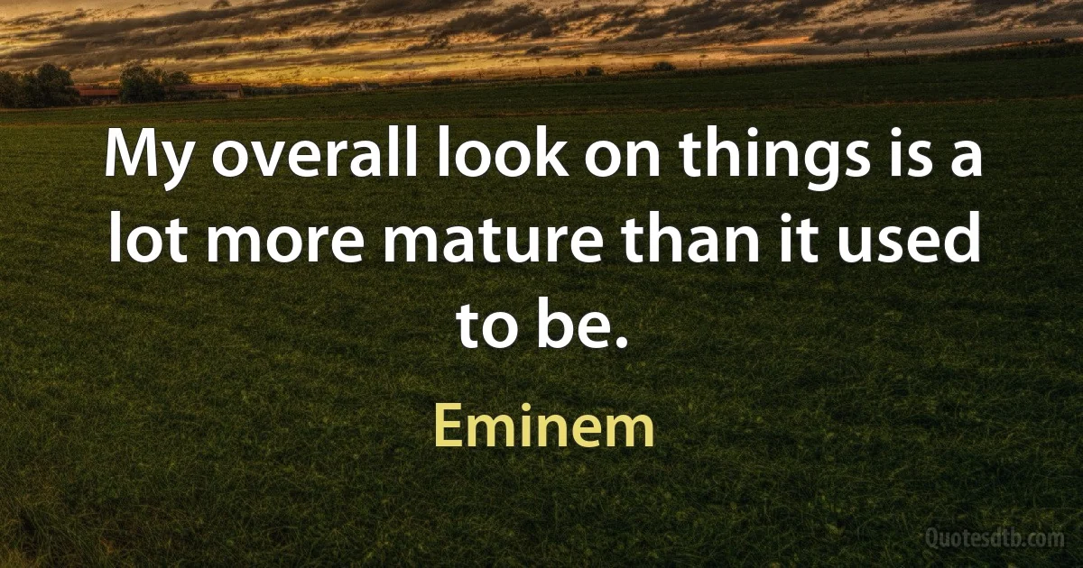 My overall look on things is a lot more mature than it used to be. (Eminem)