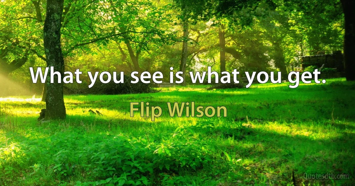 What you see is what you get. (Flip Wilson)