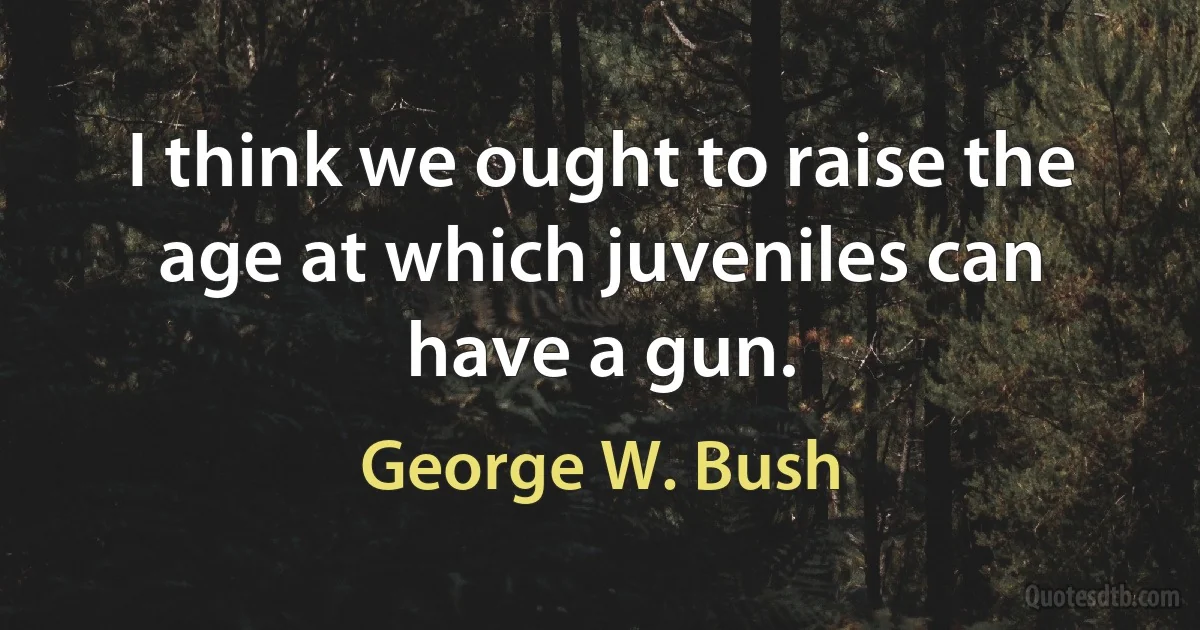 I think we ought to raise the age at which juveniles can have a gun. (George W. Bush)