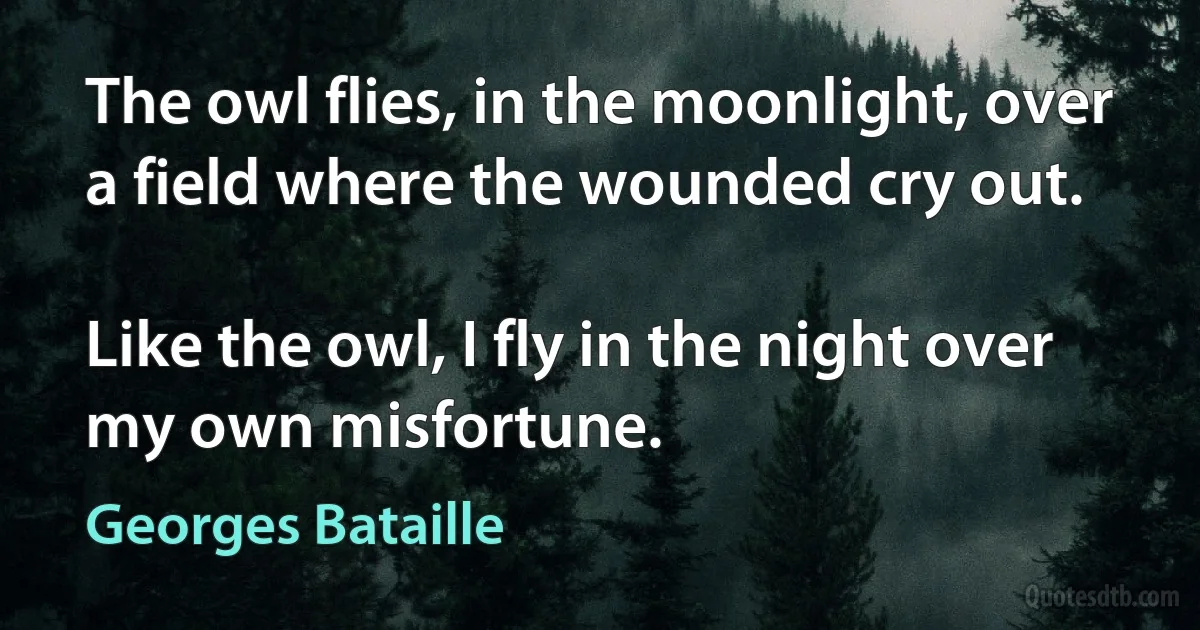 The owl flies, in the moonlight, over a field where the wounded cry out.

Like the owl, I fly in the night over my own misfortune. (Georges Bataille)