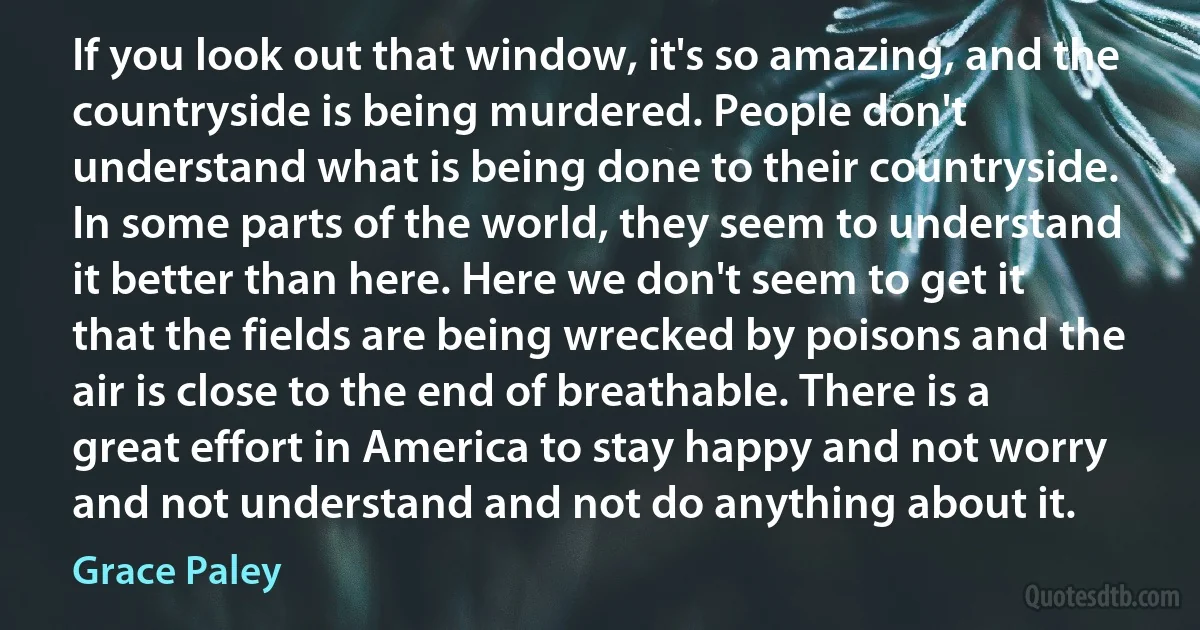 If you look out that window, it's so amazing, and the countryside is being murdered. People don't understand what is being done to their countryside. In some parts of the world, they seem to understand it better than here. Here we don't seem to get it that the fields are being wrecked by poisons and the air is close to the end of breathable. There is a great effort in America to stay happy and not worry and not understand and not do anything about it. (Grace Paley)