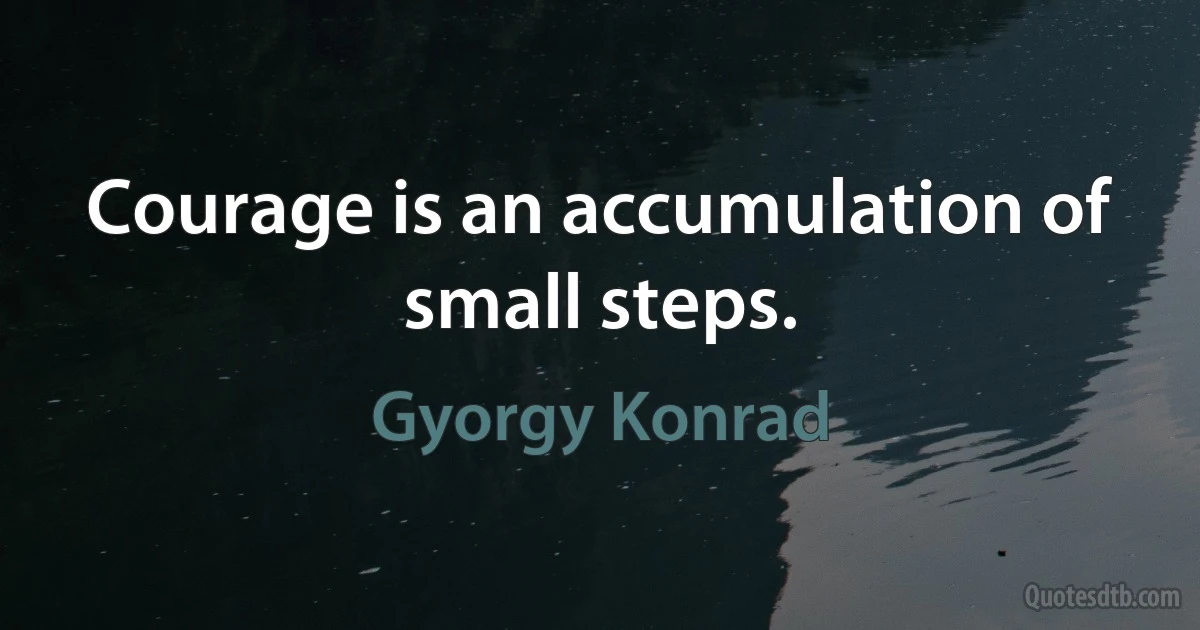 Courage is an accumulation of small steps. (Gyorgy Konrad)