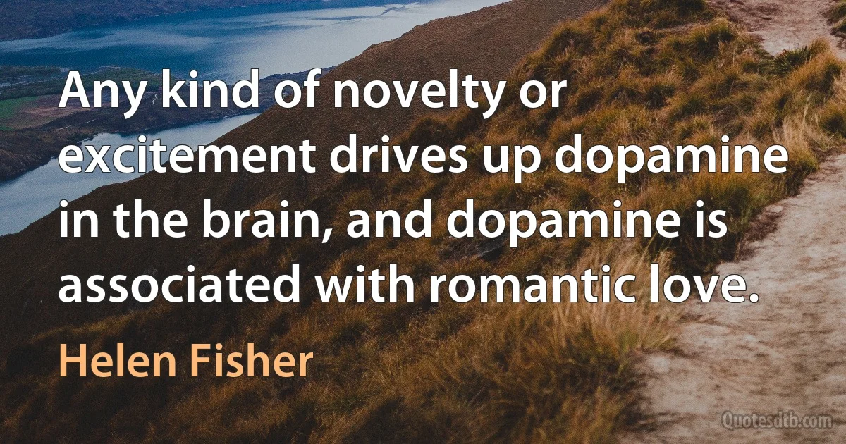 Any kind of novelty or excitement drives up dopamine in the brain, and dopamine is associated with romantic love. (Helen Fisher)