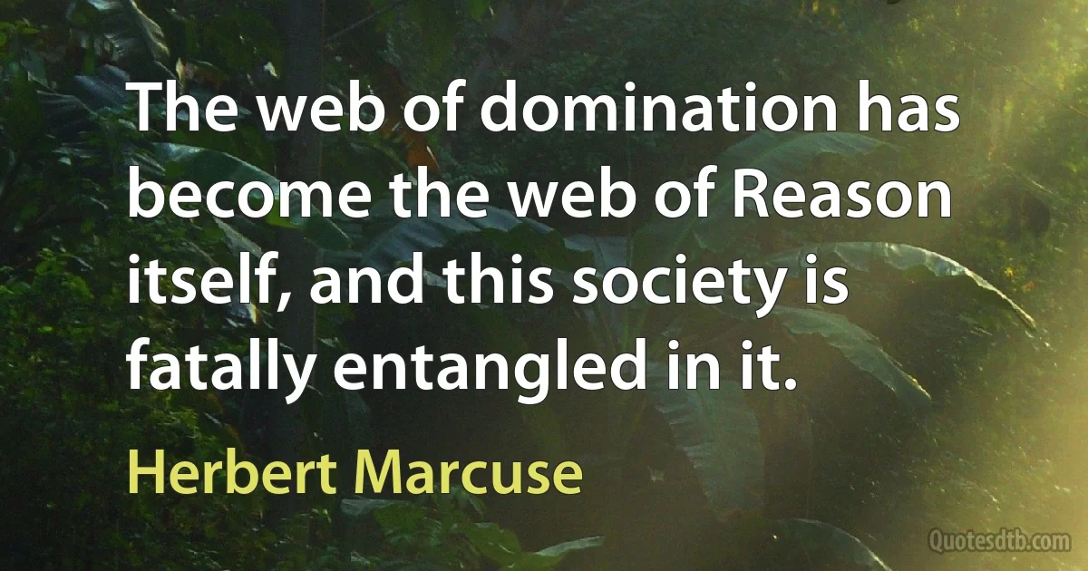 The web of domination has become the web of Reason itself, and this society is fatally entangled in it. (Herbert Marcuse)