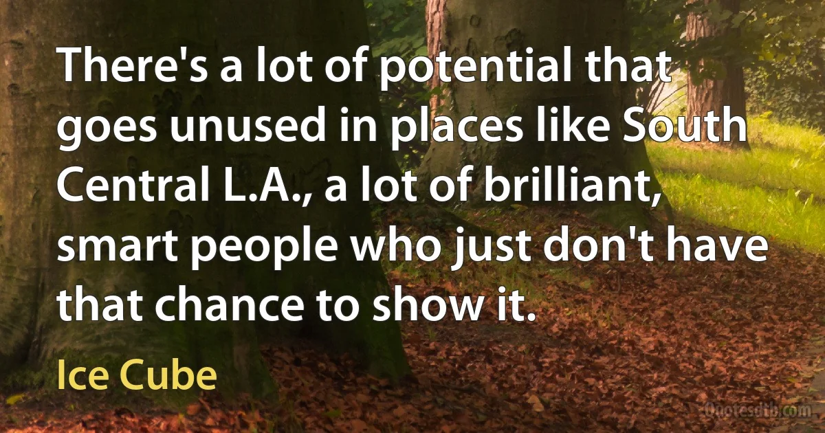 There's a lot of potential that goes unused in places like South Central L.A., a lot of brilliant, smart people who just don't have that chance to show it. (Ice Cube)