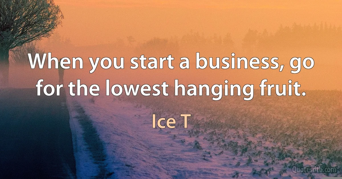 When you start a business, go for the lowest hanging fruit. (Ice T)