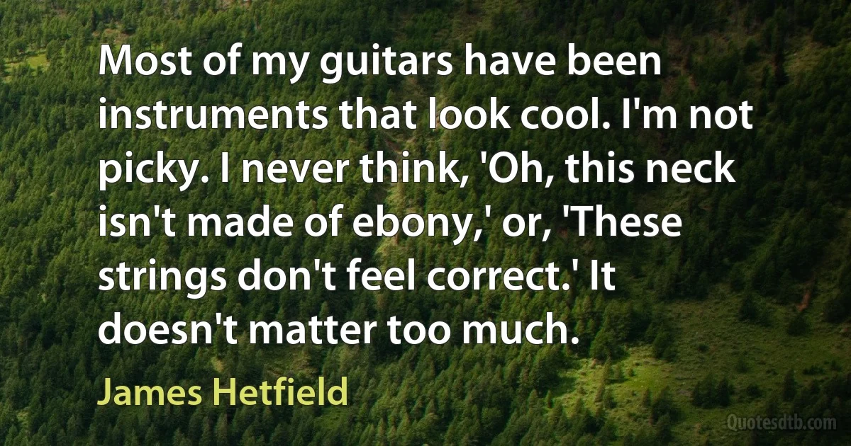 Most of my guitars have been instruments that look cool. I'm not picky. I never think, 'Oh, this neck isn't made of ebony,' or, 'These strings don't feel correct.' It doesn't matter too much. (James Hetfield)