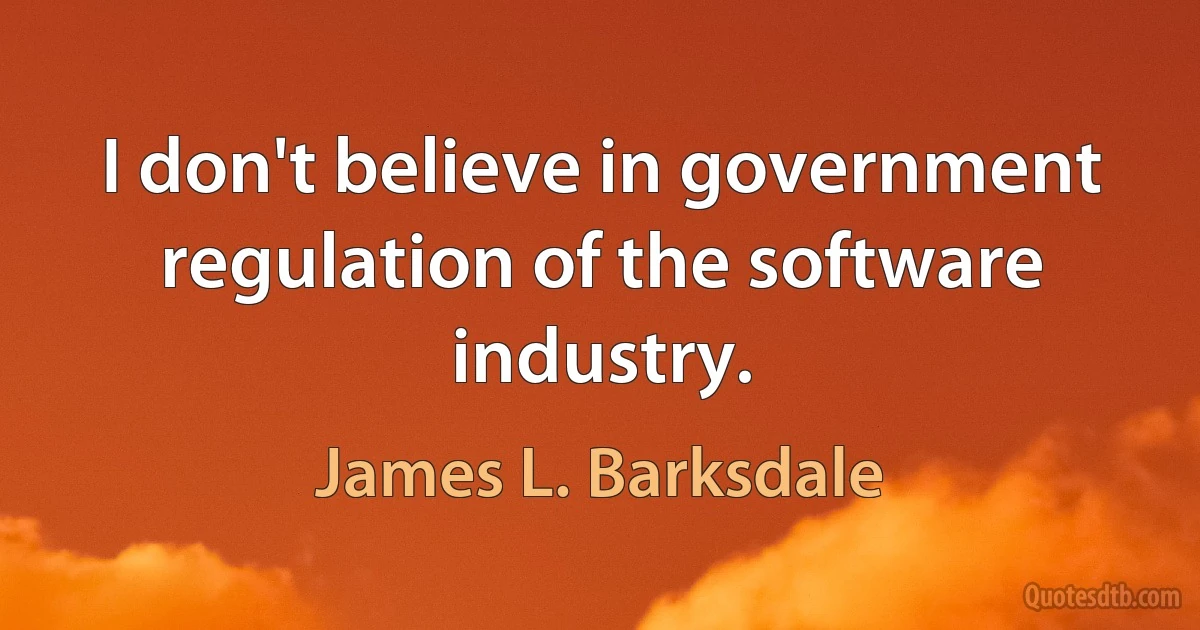 I don't believe in government regulation of the software industry. (James L. Barksdale)