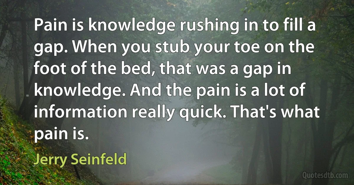 Pain is knowledge rushing in to fill a gap. When you stub your toe on the foot of the bed, that was a gap in knowledge. And the pain is a lot of information really quick. That's what pain is. (Jerry Seinfeld)