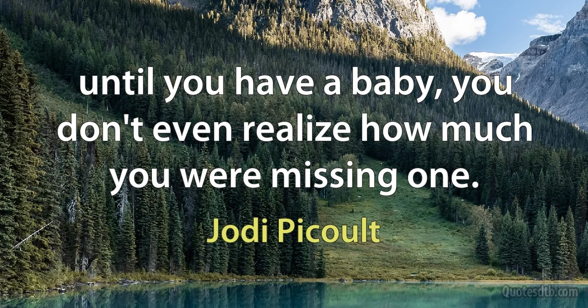 until you have a baby, you don't even realize how much you were missing one. (Jodi Picoult)