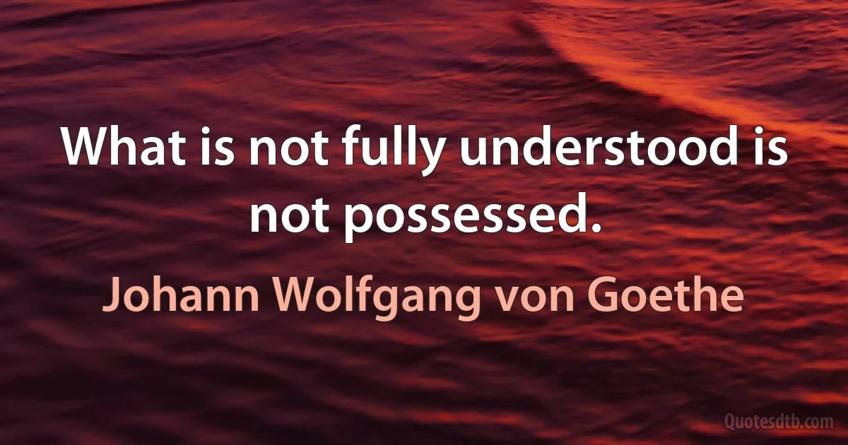 What is not fully understood is not possessed. (Johann Wolfgang von Goethe)