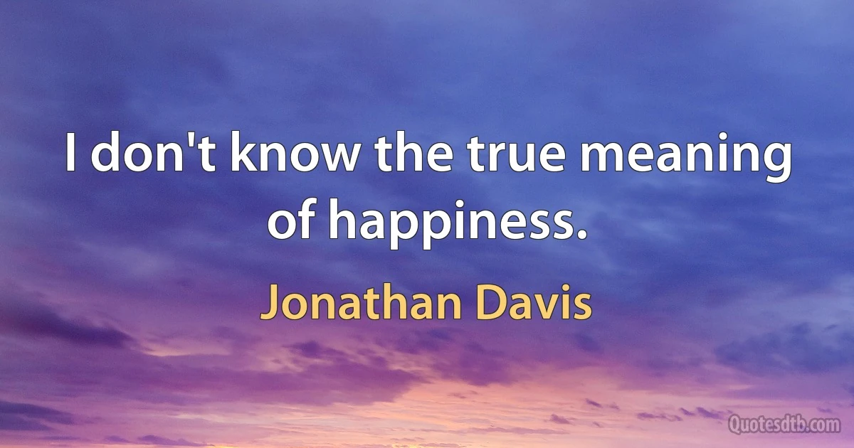 I don't know the true meaning of happiness. (Jonathan Davis)