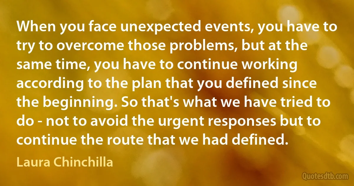 When you face unexpected events, you have to try to overcome those problems, but at the same time, you have to continue working according to the plan that you defined since the beginning. So that's what we have tried to do - not to avoid the urgent responses but to continue the route that we had defined. (Laura Chinchilla)