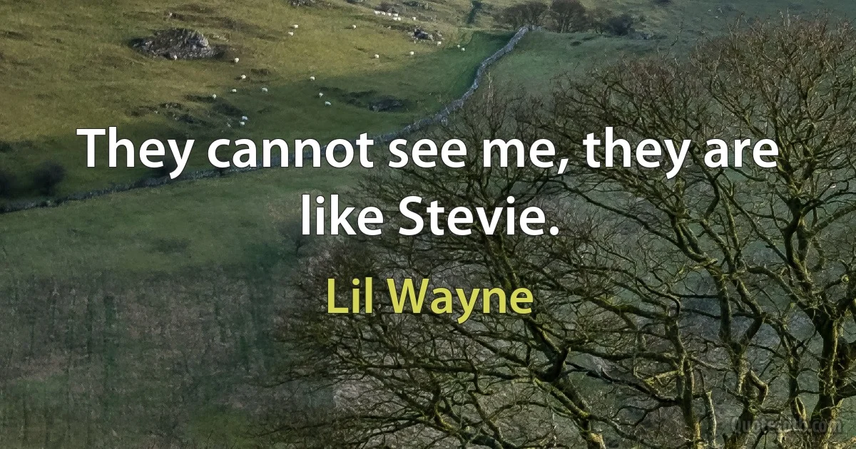 They cannot see me, they are like Stevie. (Lil Wayne)