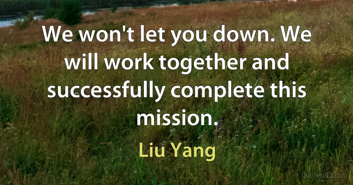 We won't let you down. We will work together and successfully complete this mission. (Liu Yang)