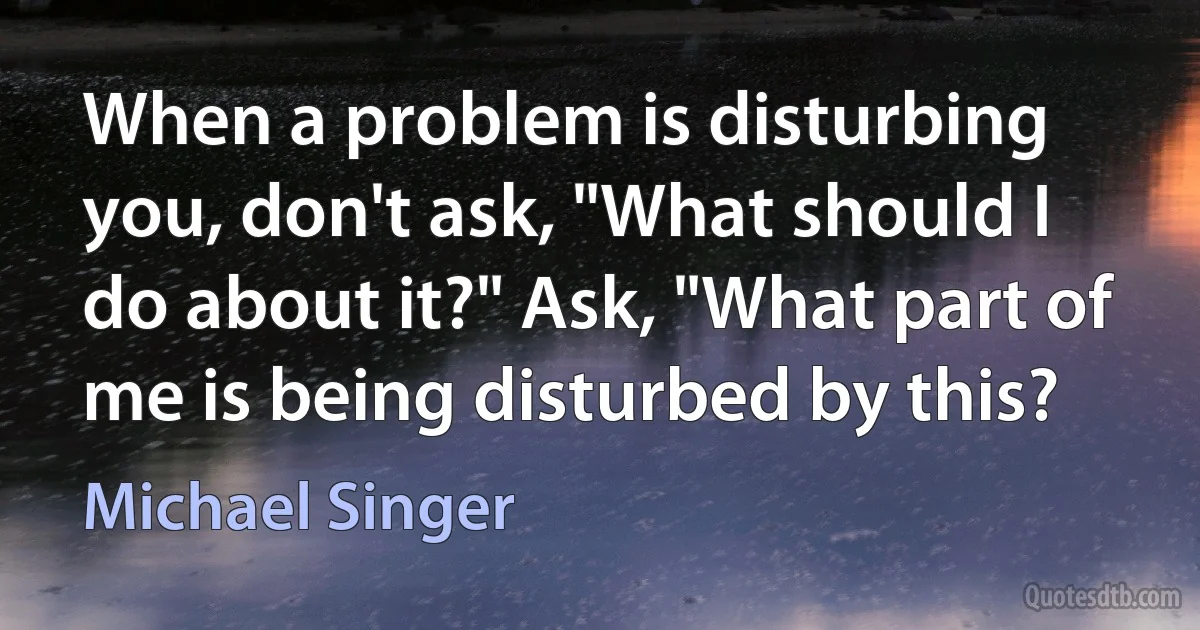 When a problem is disturbing you, don't ask, "What should I do about it?" Ask, "What part of me is being disturbed by this? (Michael Singer)