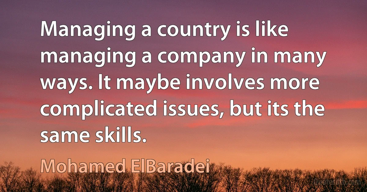 Managing a country is like managing a company in many ways. It maybe involves more complicated issues, but its the same skills. (Mohamed ElBaradei)