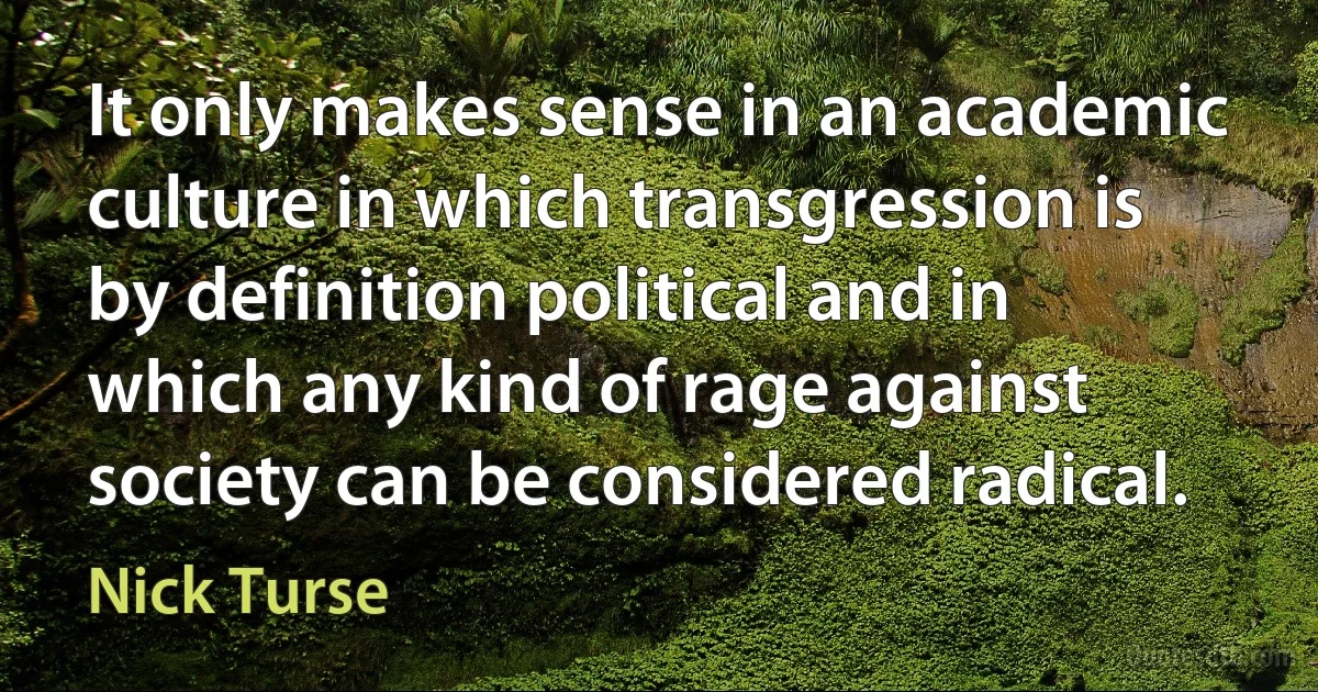 It only makes sense in an academic culture in which transgression is by definition political and in which any kind of rage against society can be considered radical. (Nick Turse)