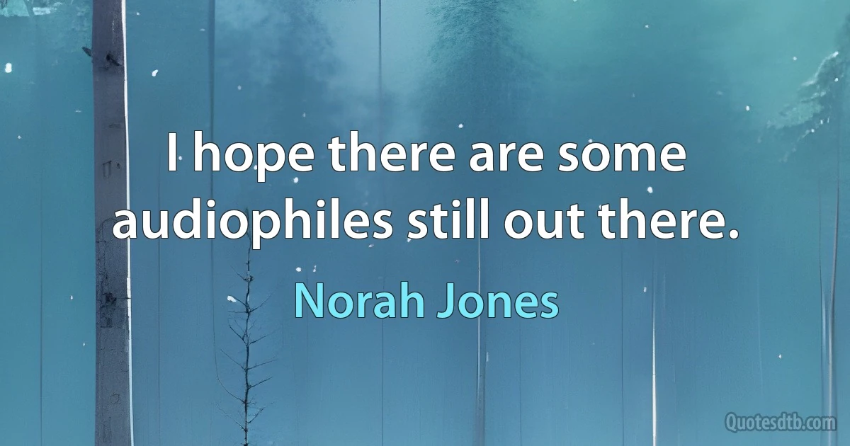 I hope there are some audiophiles still out there. (Norah Jones)