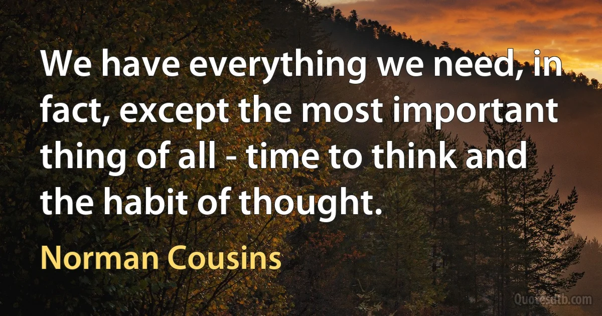 We have everything we need, in fact, except the most important thing of all - time to think and the habit of thought. (Norman Cousins)